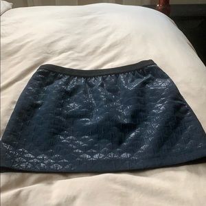 Ann Taylor skirt